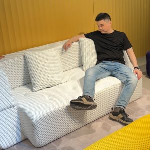 DS038 Compressed sofabed